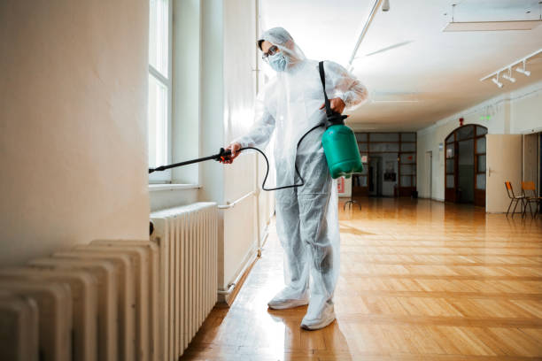 Real Estate Pest Inspections in Paris, MO